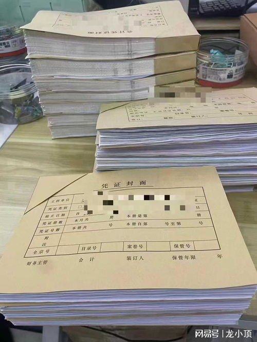 濰坊企業(yè)財務首選 龍頂會計服務，專業(yè)代理記賬與出口退稅專家